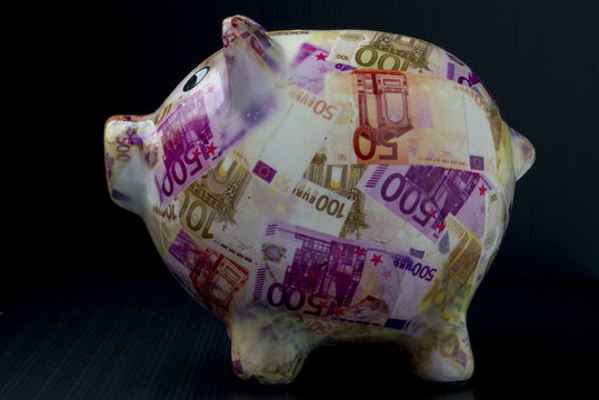 Payment Management Piggy bank with pig shape and euro billettes