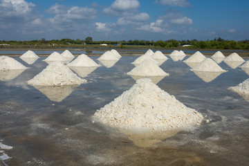 White salt field in sunny day. Royalty high quality free stock footage of white salt field in a beach village. Salt is an important food of people