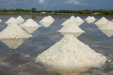 The white salt field on a sunny day. Royalty high-quality free stock footage of white salt field in a beach village. Salt is an important food for people