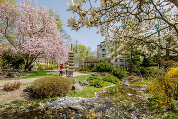 Obraz premium Der Frühlig im Setagaya Park, Wien, Österreich
