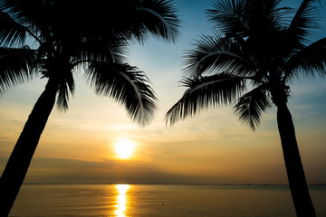 Fototapeta na wymiar Silhouette coconut palm trees during sunset for summer holiday and vacation concept.