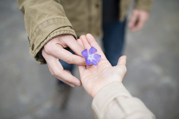 菫の花を手渡す男女の手