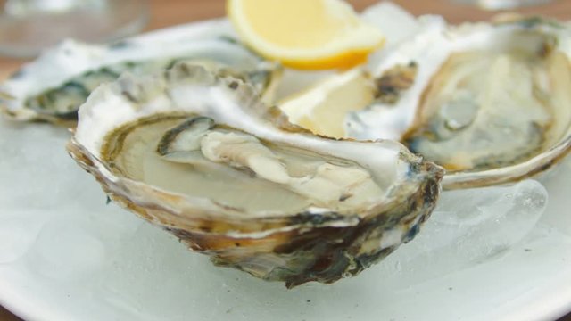 Super close-up of fresh oysters on a white plate with ice. The circular movement of the camera