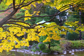  日比谷公園の紅葉 
黄葉が美しい