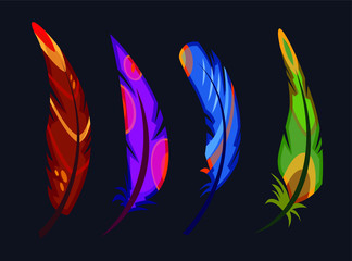 multi-colored bird feathers