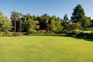 Fototapeta na wymiar Brisbane City Botanic Gardens