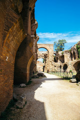 Obraz premium Palatine hill ancient ruins in Rome, Italy