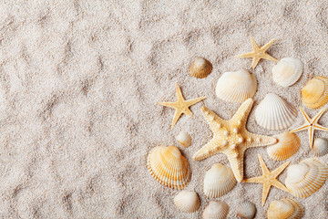 Fototapeta na wymiar Travel background from sandy beach decorated with starfish and seashell. Top view.