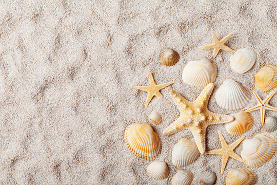 Travel background from sandy beach decorated with starfish and seashell. Top view.