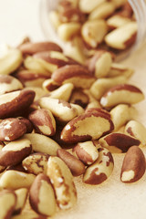 Brazil nut 