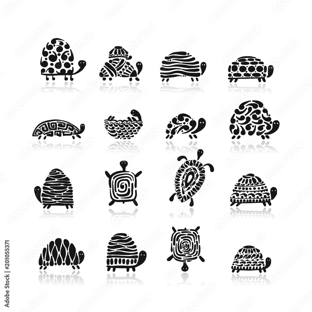 Poster turtle logo set for your design