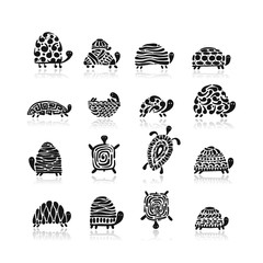 Fototapeta premium Turtle logo set for your design