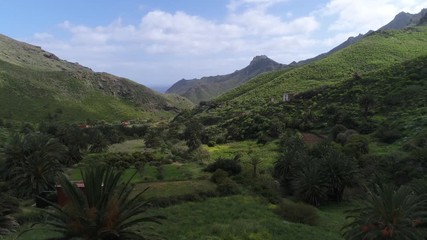 Palmeraie Ténérife