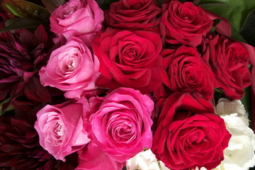 Obraz premium Czerwone i różowe róże w układzie kwiatowym