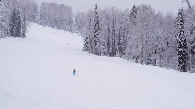 Teletsky Altai winter mountain ski resort. People on snowboards on mount and forest background under snowfall