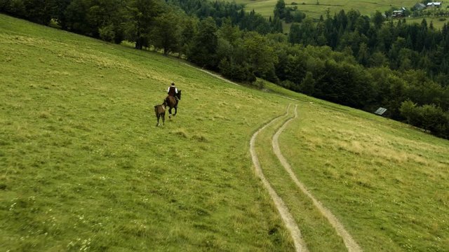 Drone of highlander riding a horse in a clearing 4k HDR H264