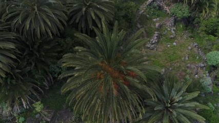 Montages de ténérife