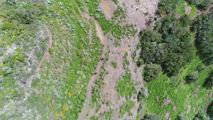 Montages de ténérife