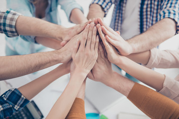 Cropped, close up portrait of business people's palms clasped together, giving high five to each other in workplace, harmony, agreement, achievement, joining, progress, connect, deal concept