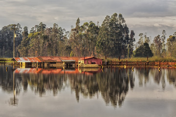 Obraz premium Sabana de Bogotá en Colombia.