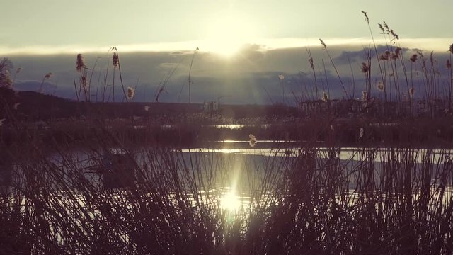 Lake landscape at sunset.