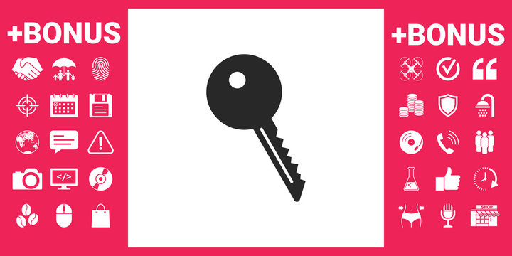 Key symbol icon