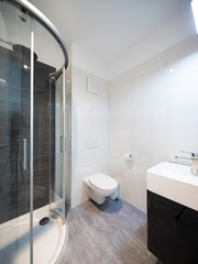 Interiors of modern furnished apartment, bathroom
