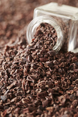 cacao nibs