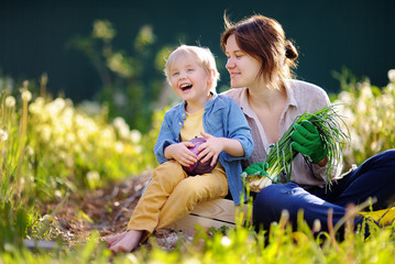 Fototapeta premium Young woman and her adorable little son enjoying harvest