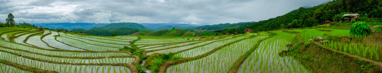 Fototapeta na wymiar Ban Papongpieng Rice Terraces, Chiang Mai, North of Thailand