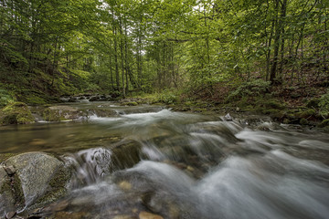 Obraz premium Fantastic landscape with trees, green leaves, stones and motion blur water on a mountain.