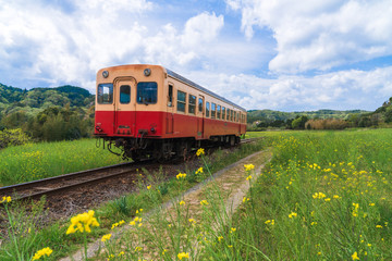 【千葉】小湊鉄道と菜の花畑