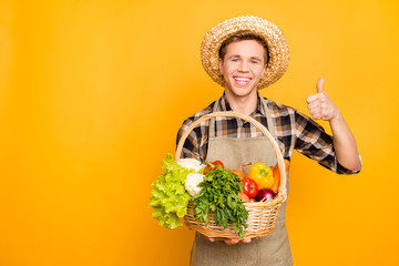 Cultivation package plant pick people person growing parsley pepper salad cabbage carrot concept. Portrait of excited joyful pleasant confident kind greengrocer with toothy smile isolated background - Powered by Adobe