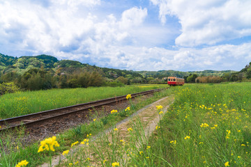 【千葉】小湊鉄道と菜の花畑