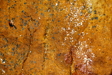 Rock texture background. Close up stone.