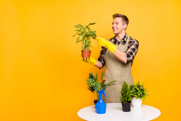 Activity desktop grow bouquet transplant wash small can flora cultivate dry people person concept. Portrait of professional careful talented florist looking at plant in hands isolated on background