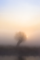 Świt nad rzeką © Piotr Szpakowski
