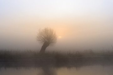 Świt nad rzeką © Piotr Szpakowski