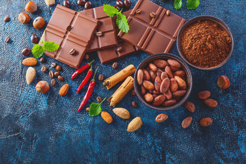 chocolate and cocoa on dark background