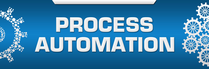 Process Automation Blue Both Side Gears 