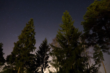 Star sky seen from the forest with the city light in the background.