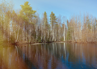 Spring flooding on the river
