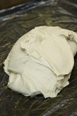 Fresh bread dough 
