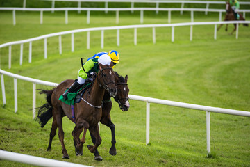 Two Race horses and jockeys competing for position on the final turn of the race track 