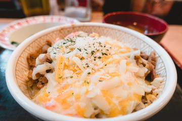 Pork, beef, meat, rice, Donburimono,Donmono
