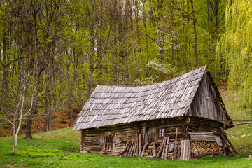 Shepherd's house at the edge of the forest