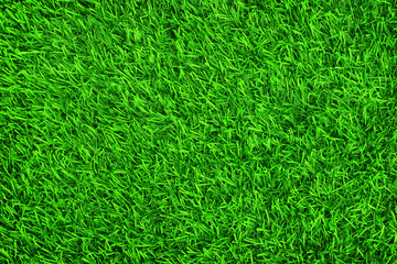 Close up of green artificial grass texture background.