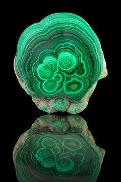 Amazing polished natural slab of green malachite mineral gemstone specimen gemstone macro isolated on black background. Closeup photo texture of green stone specimen