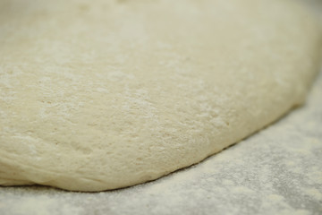 Fresh bread dough 