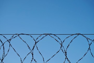 Barbed wire fence with sharp spikes